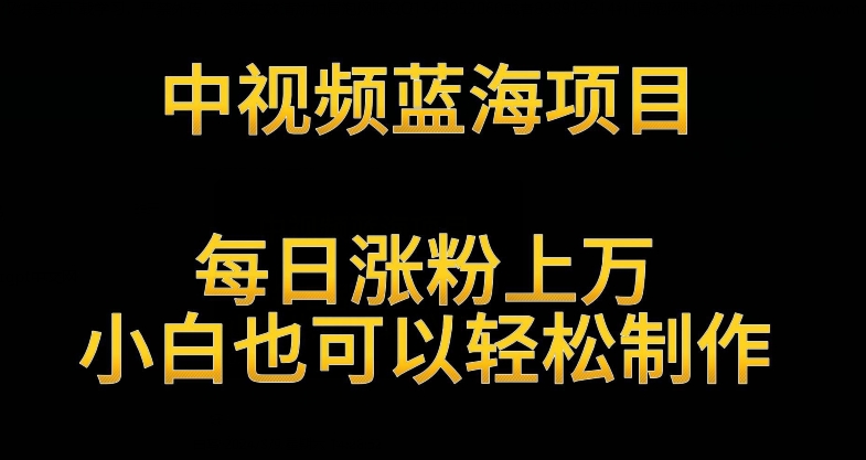 中视频蓝海项目，解读英雄人物生平，每日涨粉上万，小白也可以轻松制作，月入过万不是梦【揭秘】-创业项目致富网、狼哥项目资源库