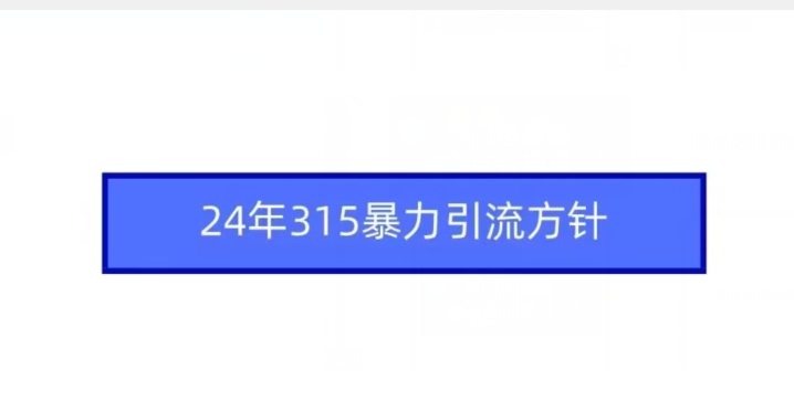 24年315暴力引流方针-狼哥资源库