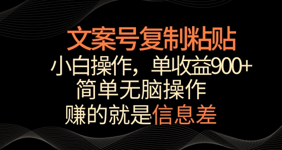 文案号掘金，简单复制粘贴，小白操作，单作品收益900+【揭秘】-狼哥资源库