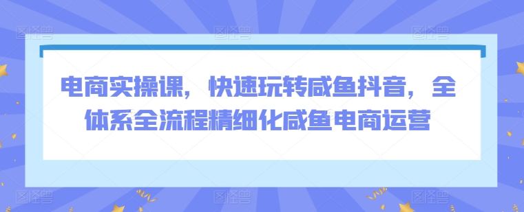 电商实操课，快速玩转咸鱼抖音，全体系全流程精细化咸鱼电商运营-狼哥资源库