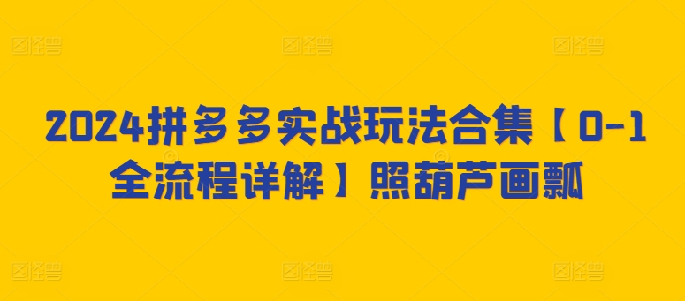 2024拼多多实战玩法合集【0-1全流程详解】照葫芦画瓢-狼哥资源库