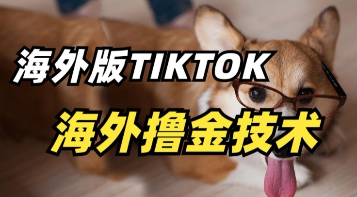 抖音海外版tiktok撸金技术，这个风口行业，赚钱真的不难【揭秘】-创业项目致富网、狼哥项目资源库