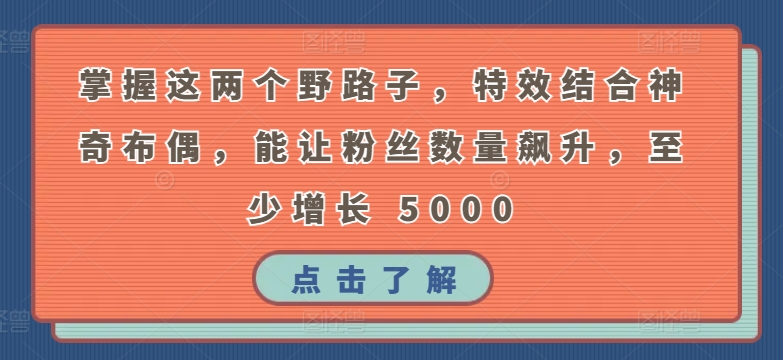 掌握这两个野路子，特效结合神奇布偶，能让粉丝数量飙升，至少增长 5000【揭秘】-狼哥资源库