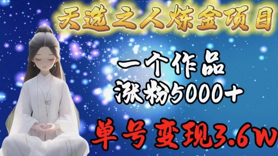 天选之人炼金项目，一个作品涨粉5000+，单号变现3.6w【揭秘】-狼哥资源库