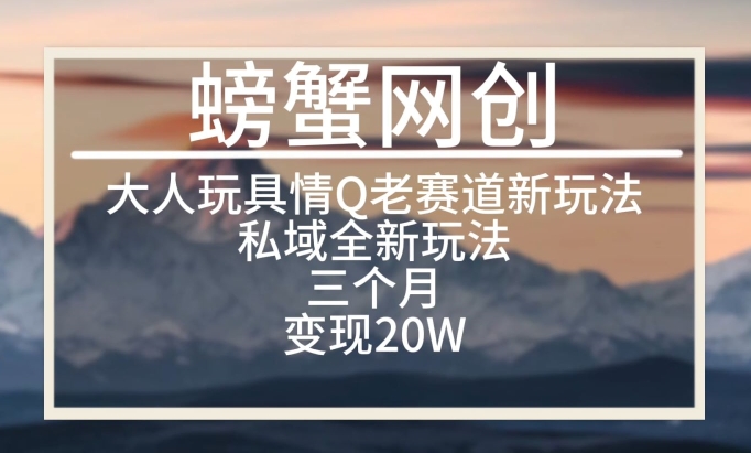 大人玩具情Q用品赛道私域全新玩法，三个月变现20W，老项目新思路【揭秘】-狼哥资源库