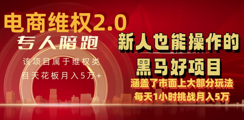 电商维权 4.0 如何做到月入 5 万+每天 1 小时新人也能快速上手【仅揭秘】-狼哥资源库