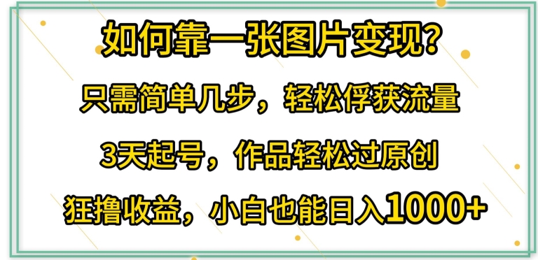 如何靠一张图片变现?只需简单几步，轻松俘获流量，3天起号，作品轻松过原创【揭秘】-狼哥资源库