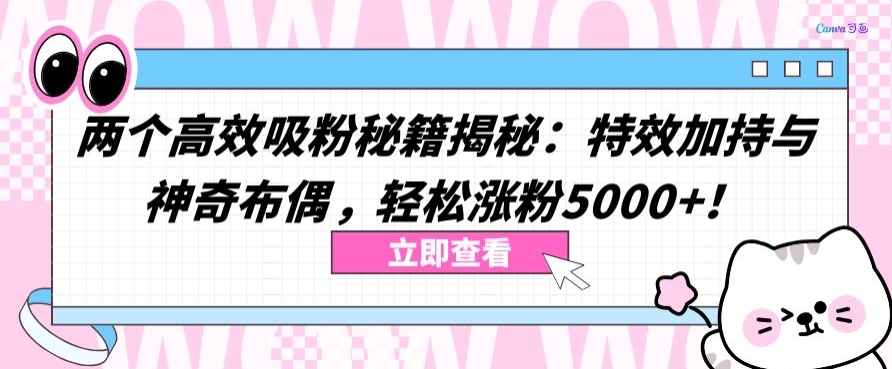 两个高效吸粉秘籍揭秘：特效加持与神奇布偶，轻松涨粉5000+【揭秘】-狼哥资源库