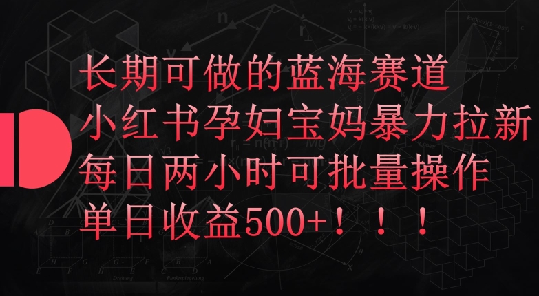 长期可做的蓝海赛道，小红书孕妇宝妈暴力拉新玩法，每日两小时可批量操作，单日收益500+【揭秘】-狼哥资源库