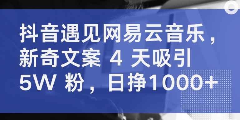 抖音遇见网易云音乐，新奇文案 4 天吸引 5W 粉，日挣1000+【揭秘】-创业项目致富网、狼哥项目资源库