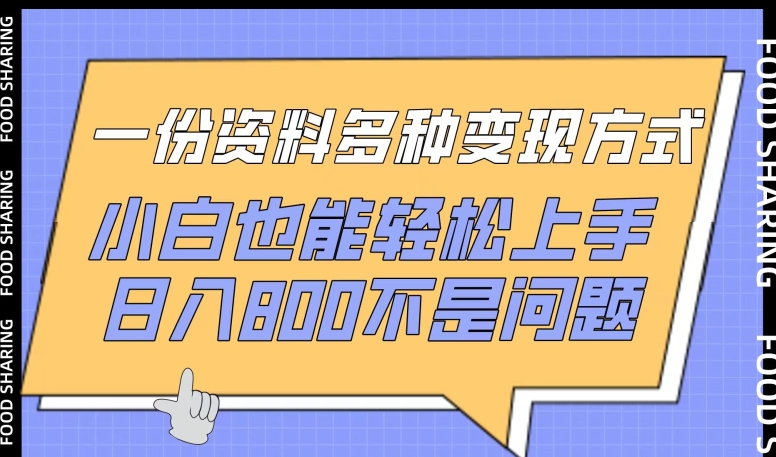 一份资料多种变现方式，小白也能轻松上手，日入800不是问题【揭秘】-狼哥资源库