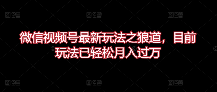 微信视频号最新玩法之狼道，目前玩法已轻松月入过万【揭秘】-狼哥资源库