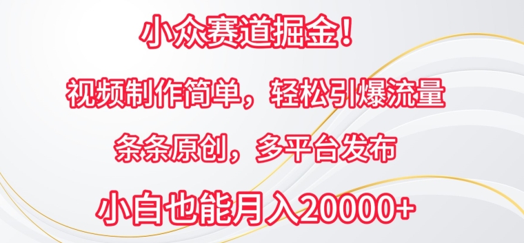 小众赛道掘金，视频制作简单，轻松引爆流量，条条原创，多平台发布【揭秘】-狼哥资源库