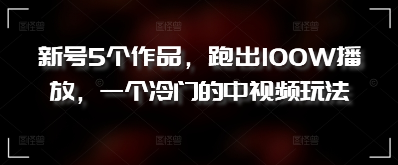 新号5个作品，跑出100W播放，一个冷门的中视频玩法【揭秘】-狼哥资源库