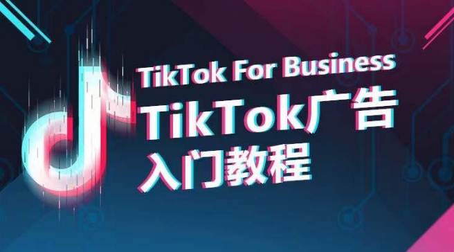 TikTok广告入门教程，从0到1掌握TikTok投放的全流程-狼哥资源库