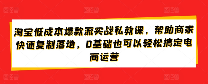 淘宝低成本爆款流实战私教课，帮助商家快速复制落地，0基础也可以轻松搞定电商运营-狼哥资源库