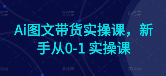 Ai图文带货实操课，新手从0-1 实操课-创业项目致富网、狼哥项目资源库