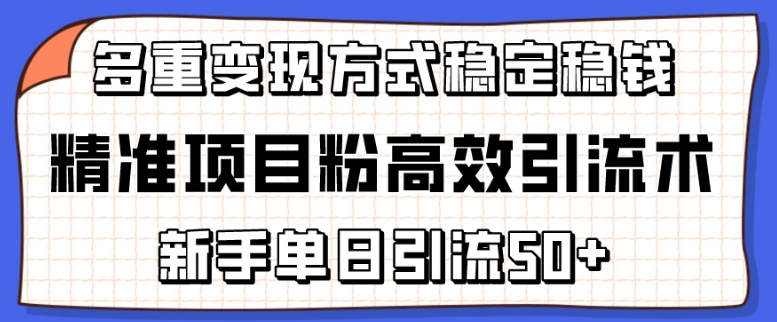 精准项目粉高效引流术，新手单日引流50+，多重变现方式稳定赚钱【揭秘】-狼哥资源库