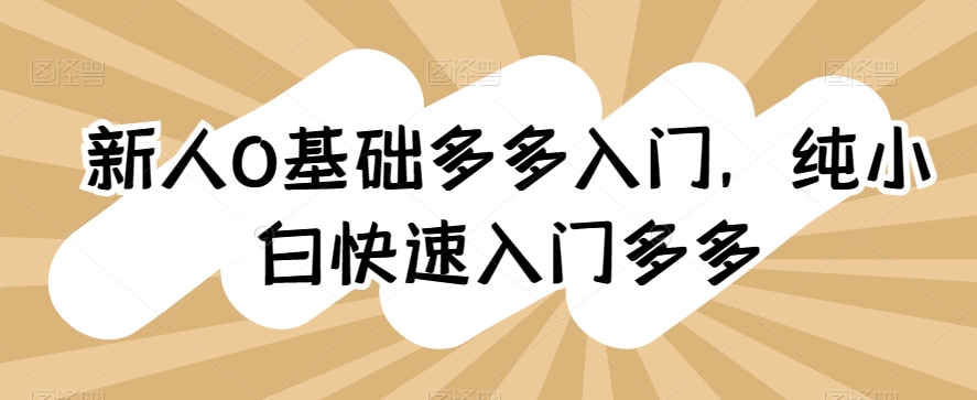 新人0基础多多入门，​纯小白快速入门多多-狼哥资源库