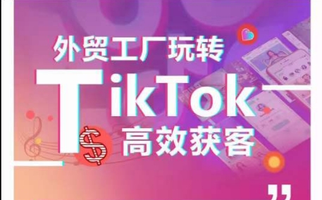 外贸工厂玩转TikTok高效获客，多种引流方式与账号定位技巧，拆解爆款短视频打造成功案例-创业项目致富网、狼哥项目资源库