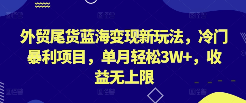 外贸尾货蓝海变现新玩法，冷门暴利项目，单月轻松3W+，收益无上限【揭秘】-狼哥资源库