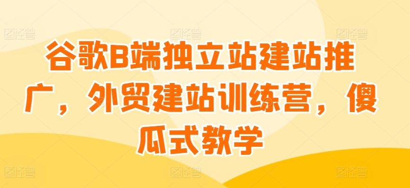 谷歌B端独立站建站推广，外贸建站训练营，傻瓜式教学-狼哥资源库