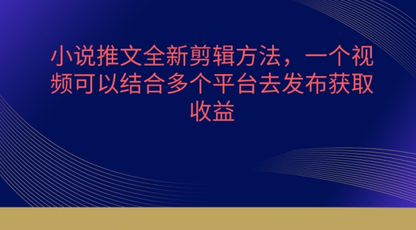 小说推文全新剪辑方法，一个视频可以结合多个平台去发布获取【揭秘】-创业项目致富网、狼哥项目资源库