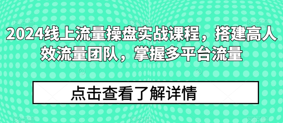 2024线上流量操盘实战课程，搭建高人效流量团队，掌握多平台流量-狼哥资源库