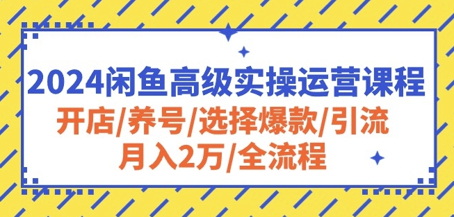 2024闲鱼高级实操运营课程：开店/养号/选择爆款/引流/月入2万/全流程-狼哥资源库