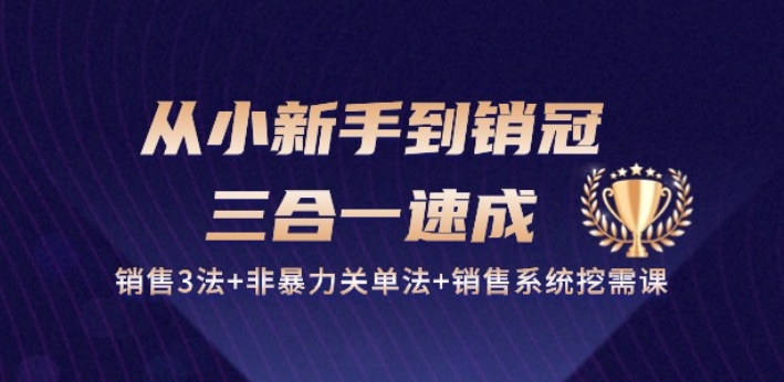 从小新手到销冠 三合一速成：销售3法+非暴力关单法+销售系统挖需课 (27节)-狼哥资源库