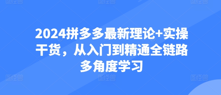 2024拼多多最新理论+实操干货，从入门到精通全链路多角度学习-狼哥资源库