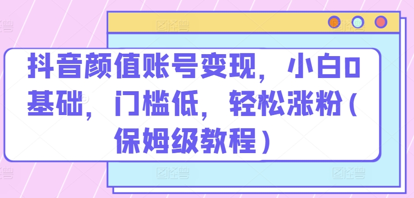 抖音颜值账号变现，小白0基础，门槛低，​轻松涨粉(保姆级教程)【揭秘】-狼哥资源库