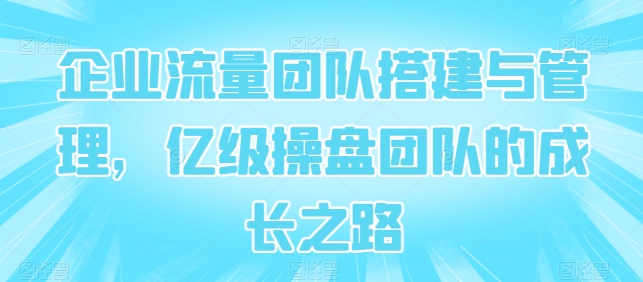 企业流量团队搭建与管理，亿级操盘团队的成长之路-狼哥资源库