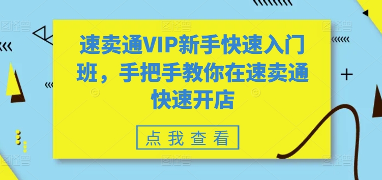 速卖通VIP新手快速入门班，手把手教你在速卖通快速开店-狼哥资源库