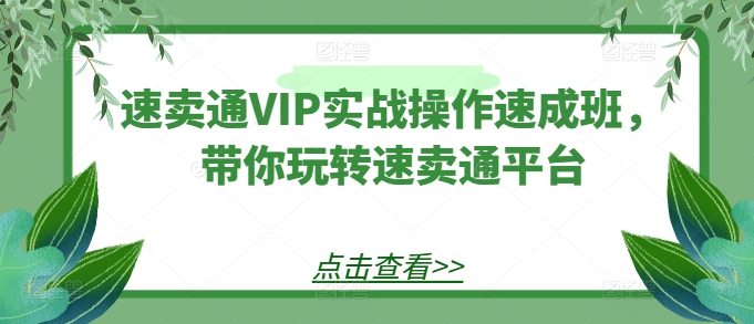 速卖通VIP实战操作速成班，带你玩转速卖通平台-狼哥资源库