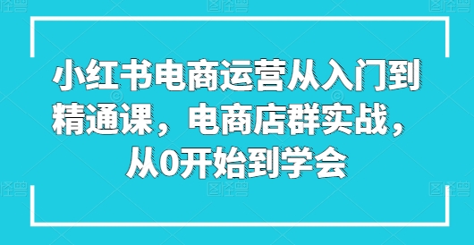 小红书电商运营从入门到精通课，电商店群实战，从0开始到学会-狼哥资源库