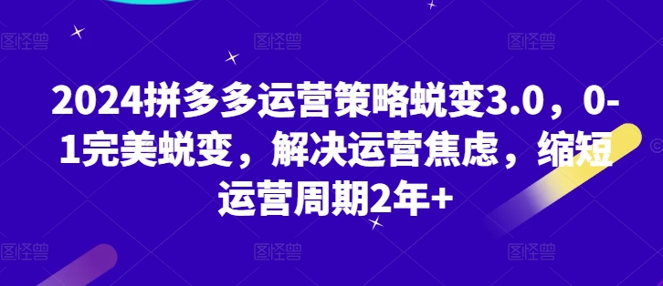 2024拼多多运营策略蜕变3.0，0-1完美蜕变，解决运营焦虑，缩短运营周期2年+-狼哥资源库