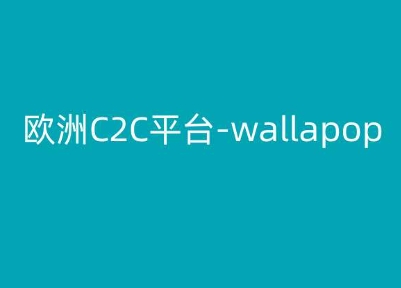 欧洲C2C平台-wallapop-kim跨境电商教程-狼哥资源库