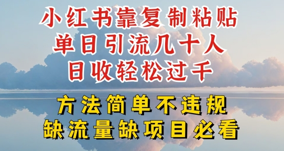 小红书靠复制粘贴单日引流几十人目收轻松过千，方法简单不违规【揭秘】-创业项目致富网、狼哥项目资源库