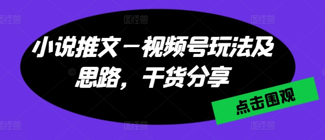 小说推文—视频号玩法及思路，干货分享-狼哥资源库