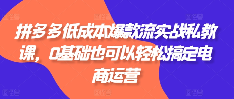 拼多多低成本爆款流实战私教课，0基础也可以轻松搞定电商运营-狼哥资源库