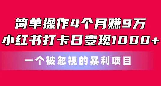 简单操作4个月赚9w，小红书打卡日变现1k，一个被忽视的暴力项目【揭秘】-狼哥资源库