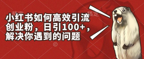 小红书如何高效引流创业粉，日引100+，解决你遇到的问题【揭秘】-狼哥资源库