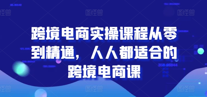 跨境电商实操课程从零到精通，人人都适合的跨境电商课-狼哥资源库