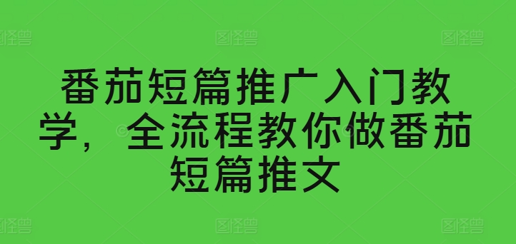 番茄短篇推广入门教学，全流程教你做番茄短篇推文-狼哥资源库