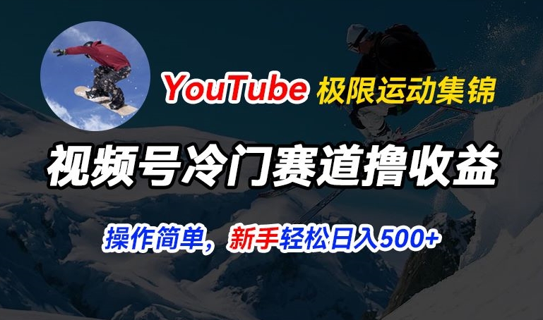 视频号冷门赛道撸收益，YouTube搬运极限运动集锦，暴力起号，操作简单流量高，轻松日入5张【揭秘】-狼哥资源库