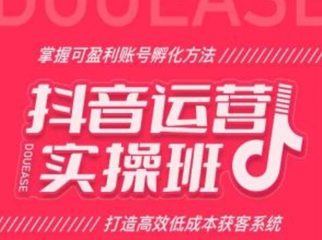 抖音运营实操班，掌握可盈利账号孵化方法，打造高效低成本获客系统-狼哥资源库