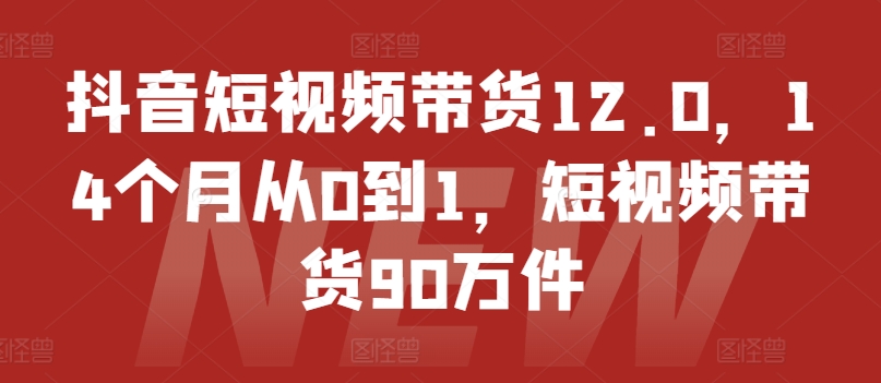 抖音短视频带货12.0，14个月从0到1，短视频带货90万件-狼哥资源库