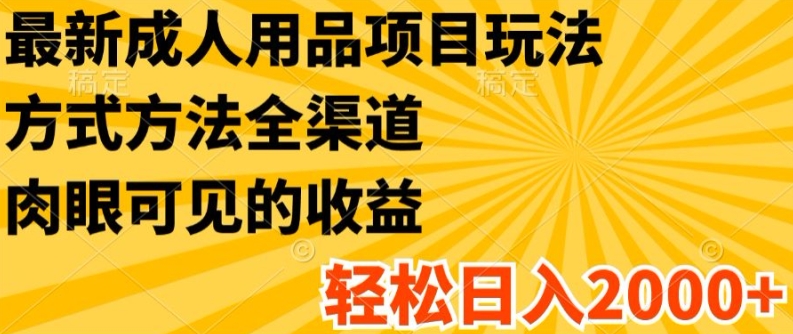 最新成人用品项目玩法，方式方法全渠道，轻松日入2K+【揭秘】-狼哥资源库