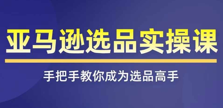 亚马逊选品实操课程，快速掌握亚马逊选品的技巧，覆盖亚马逊选品所有渠道-狼哥资源库